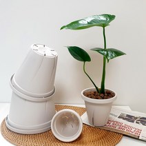 야마토 기능성 슬릿 화분 삽목 원형 플라스틱 인테리어 무광화분