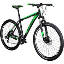 EUROBIKE 29인치 산악 자전거 남성용 21단 속도 또는 여성용 성인용 디스크 브레이, Aluminum Frame Green