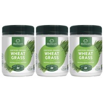Life Stream Wheat Grass Powder 뉴질랜드 라이프스트림 밀싹 파우더 250g 3통, 3개
