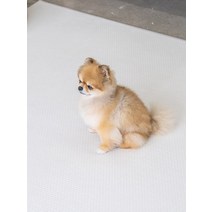 [러그140x180cm] 3장 디팡 소형견 중대형견 펫플레이 강아지매트 미끄럼방지 4mm, 테라조화이트 3장, 4mm 러그(소형견용)