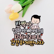 다뉴토퍼 만삭촬영 브라이덜토퍼 엄마아빠에게 와줘서고마워+하트픽2p 케이크토퍼, 공주님