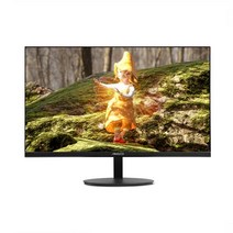 비트엠 SMACO M257F ZERO HDR 사무용 게이밍 모니터