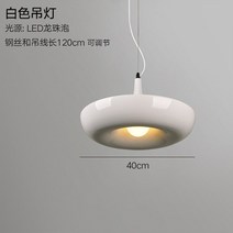 모던한 식물 펜던트 조명 DIY 하늘 정원 꽃 냄비 행잉 램프 북유럽 식당 오피스 아트 홈 데코 기구, [01] G80led 5w Warm Light, [04] White