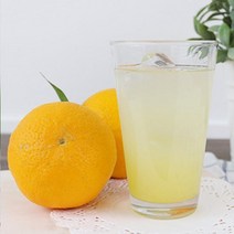 무농약유자로 만든 통유자원액, 상세설명 참조, 상세설명 참조, 무농약 유자원액 500m X 2병, 무농약 유자원액 500m X 2병