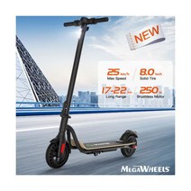 전동 킥보드 폴딩 접이식 ELECTRIC SCOOTER LONG RANGE FOLDING ADULT 107901
