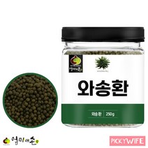 국산 와송환 250g 생와송 식용 자연산 야생 와송 홈쇼핑