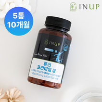 인업 류신 프리미엄정 1000mg 60정, 5통
