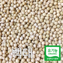 산들바람 2021년산 국내산 유기농 백태 메주콩 500g