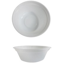다이써 플라스틱 용기 플라스틱그릇 파티접시 10개 홈파티 피크닉 돌잔치, 상세페이지참조