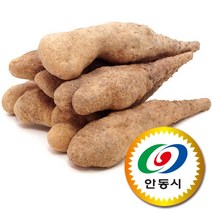 국산 안동 마 참마 산마 산약 생마 3kg 5kg 10kg, 1box, (4) 참마 상품 10kg