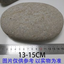 화분자갈 컬러스톤 건재상 천연 거북이 건조 자갈 초대형 거북이 건조 평면 풍경 암벽 등반 건조 원예용 조경용돌 자갈돌, [1 개] 13-15cm 거북이