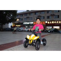 사발이농사용 전기 사륜오토바이 오프로드 ATV 미니트럭 농촌, 기본선택