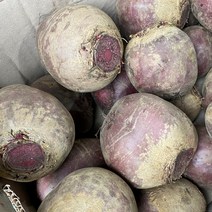 국내산 햇비트 레드 비트, 5kg, 1개