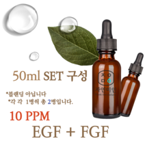에코문 EGF+FGF 10ppm 2EA세트-50ml 원액 앰플 에센스, 1개, 50ml