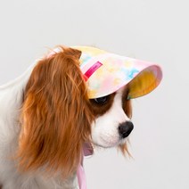 펫펑크 애견썬캡 워터3종 강아지모자 애견여름모자 노령견 백내장예방 대형견모자 리트리버썬캡 진돗개모자 강아지스냅백 푸들 시추 꼬똥 비숑 말티즈 말티푸 소형견모자 중형견모자, 핑크