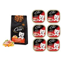 시저 건사료 파우치 1kg + 캔사료 100g 6캔, 쇠고기건사료 1kg, 닭고기 14세이상 100g 6캔