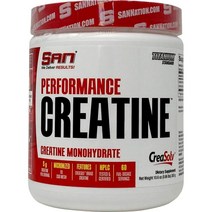 SAN 크레아틴 퍼포먼스 파우더 60서빙 모노 하이드레이트 300g Creatine, 1개