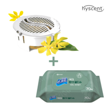 하이센트 리필 카트리지 썸머릴리향 + 스카트 에코 종이물티슈 70매 증정