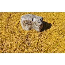 지리산뱀사골 햇 꿀벌화분 벌화분 비폴렌 먹는 꽃가루 벌꿀 화분 1kg(JB), 1개