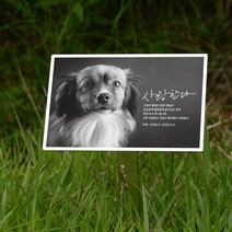 수목장 강아지위패 반려견 애견비석 묘비 맞춤위패 반려견 장례용품 반려견위패 강아지장례용품