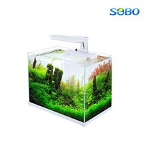 SoBo 소보 CL-400F 배면섬프일체어항
