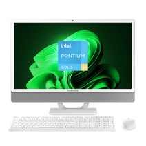 삼성 일체형PC 올인원PC DM530ADA-L25AH (인텔 펜티엄 11세대 7505 60.5cm WIN11 4GB 128GB SSD), DM530ADA-L25A, WIN 11