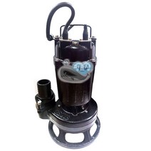 펌프샵 아이거 ASP-751 올패싱 1마력 단상 수동 오폐수수중펌프 올패씽 임펠러 스텐 WNP(물티슈/슬러지/맨홀/공장/산업폐수/생리대/정화조)막힘없는 트리톤 펌프 더블유앤피, ASP-751(수동/임펠러스텐 STS304)