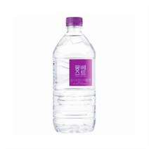 몽베스트 생수, 30개, 1L