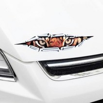 페로즈아이 차량용스티커 로고 방수 감성 두들 초보 안전 인테리어 강아지 흠집 가리개 카라반 쿨러 루프 폴딩 캠핑, 호랑이눈