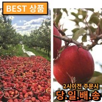 비엘팩토리 경북 의성 당도선별 세척사과 2kg 3kg, 2kg 꼬마, 1개