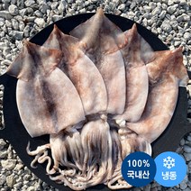 [베이비오징어] 바다해 미니갑오징어 12미 400g(200gx2) 베이비이까 냉동 손질 갑오징어 갑베, 200g, 갑베이비12미 2ea
