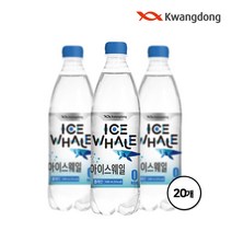 광동 아이스웨일 탄산수 플레인 500ml x 20펫, 500ml, 20펫, 500ml x 20개입