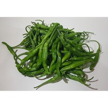 영프레시 꽈리고추 상품 가락시장 당일경매 (가격변동) - 500g / 1kg, 꽈리고추 500g