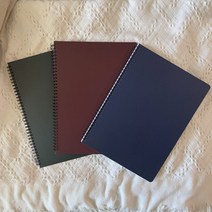 재즈에비뉴 무지 스프링 음악노트 A4, 레드, 60매