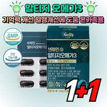 징코 알티지 오메가3 은행잎추출물 기억력개선에 도움 혈행 개선에 도움 눈 건강에 도움 1+1진행