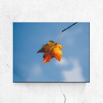 PL025_홈데코 가을 하늘 단풍사진 계절 캔버스액자, 고급형유광전처리_XXL_37cm x 45cm