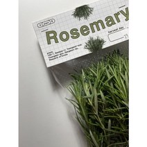 로즈마리 생잎 10g / 50g / 100g, 30g