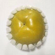 태추단감 배단감 가정용단감 정품단감, 1개, 4kg, 가정용중과(16~24과)