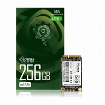 디오테라 VIVA 300S LITE mSATA 256GB