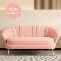 2인용쇼파 병원 카페 소파 업소용 가구 거실, 2인 소 (118cm), 소녀가루