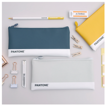 블루레이크 펜톤 PANTONE 플랫형 필통, 그레이