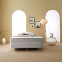 손노 006 허리에 좋은 탄탄한 매트리스 S SS D Q K, SS슈싱(110cmx200cm) 높이:22cm