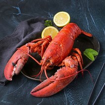 캐나다에서 온 싱싱하게 살아있는 활 랍스타 랍스터 600g 1마리, 1개