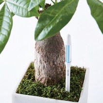바보사랑 (SUSTEE) 서스티 물주기 알리미 식물수분계.서스티, M-화이트