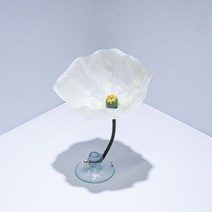 베타플라워 베타꽃침대 [진주양귀비꽃침대], 화이트