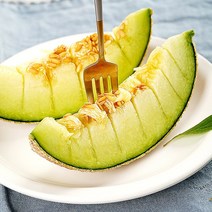 지투지샵 머스크 멜론 특품 8kg 4수 공유하기 페이스북 트위터 닫기