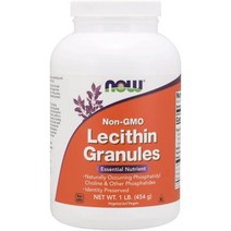 나우푸드 레시틴 과립 Non GMO 454g, 454g(1팩)