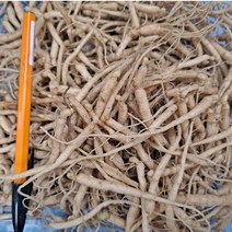 2년근 묘삼 1차(750g) 150~200종 새싹쌈 새싹 재배용 인삼모종 수경재배 토경재배 인삼키우기
