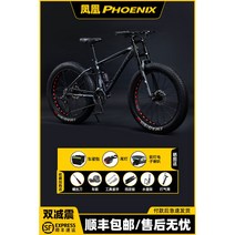 MTB 산악자전거 성인용 여성용 광폭타이어 학생용 고성능 팻바이크 오프로드, 21단, 24인치, R-Y무광회색