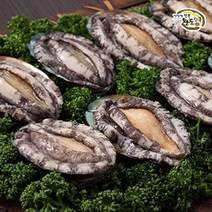 완도전복 [완도전복] 명품완도전복 미소2호 650g(65g-10미), 기타